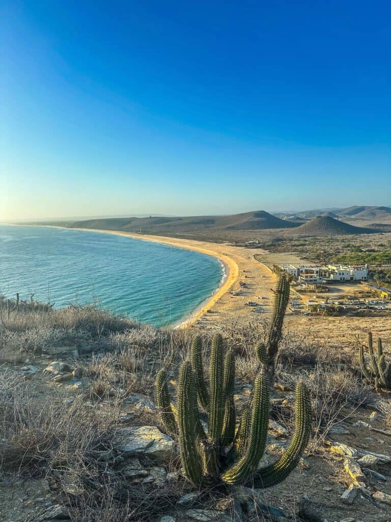 The bay and beach at Punta Lobos seen from the mirador, with a cardón cactus in front