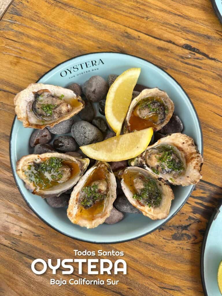 A plate of dressed oysters with lemon at Oystera, Todos Santos