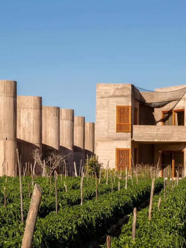 The concrete buildings of Paradero Todos Santos above rows of crops