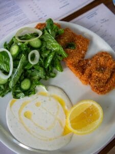 Breaded chicken breast with a green salad with cucumber, ranch dressing and lemon at Cream Palmilla