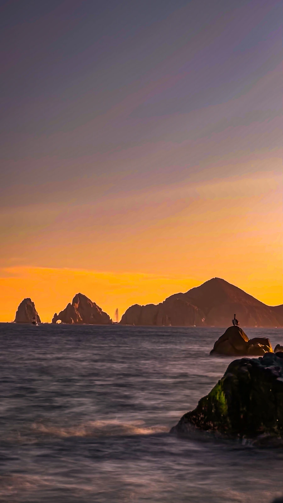 El Arco and Land's End of Cabo San Lucas silhouetted against an orange sunset, with a pelican perched on a rock in the foreground — photo by Adrián De Antoni