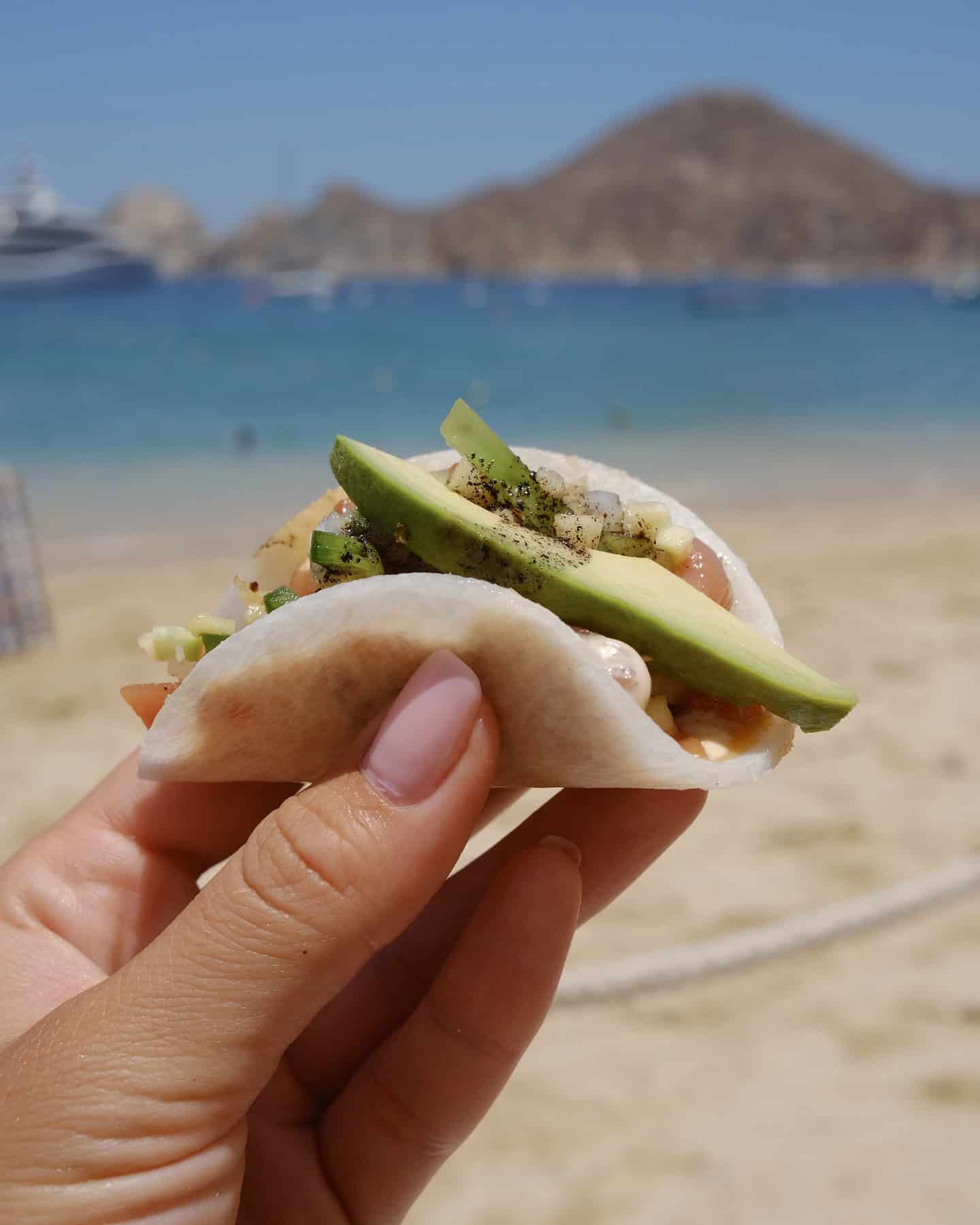 Fresh seafood with avocado served beside Médano Beach at SUR Beach House.
